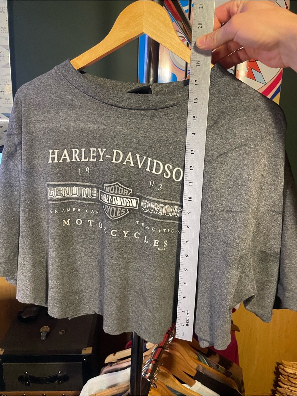 Vacaville, California Harley-Davidson Gray Cropped Logo Tee - Picture 6 of 8